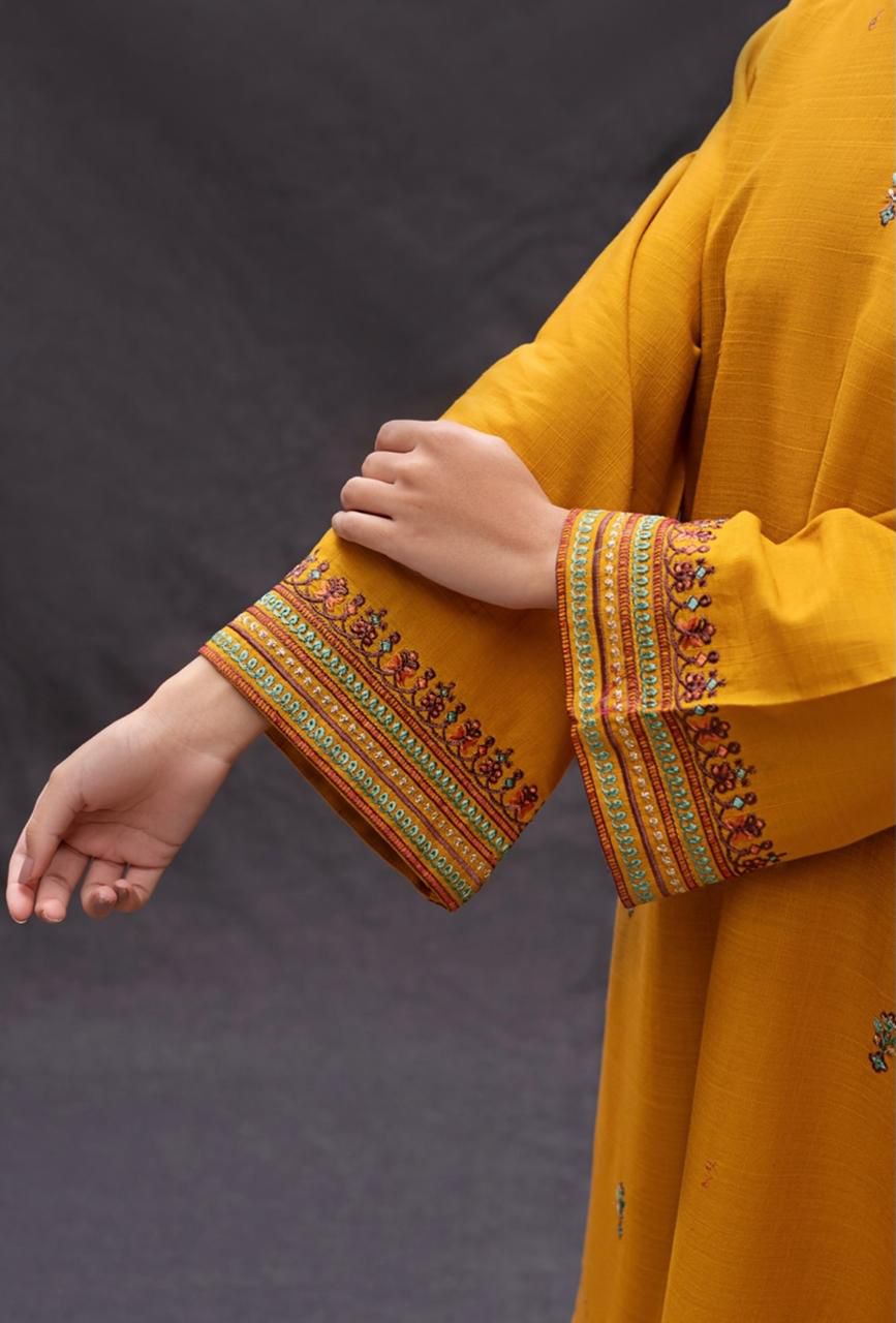 Summer Collection 2026